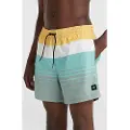O'Neill Mix&match Cali Print 15´´ Badeshorts