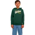 Jack & Jones Logo Hættetrøje