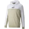 Puma Ess+ Block Hættetrøje