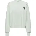 ONLY Pixas Sweatshirt
