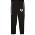Puma Active Sports Graphic Sportsbukser
