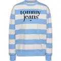 Tommy Hilfiger Dw0dw19041 Sweatshirt