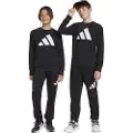 Adidas Essentials Joggers Sæt