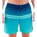 Hurley Cannonball Volley 17´´ Badeshorts