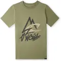 O'Neill Torrey T-shirt Med Korte ærmer