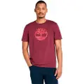 Timberland Timberlandtil mænd. TB0A2C2R6481 Kennebec River T-shirt bordeaux (M), Casual, Bomuld, Korte ærmer, Burgund