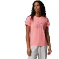Columbia Sloan Ridge Graphic T-shirt Med Korte ærmer