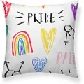 Belum Pride 5 Lounger Pudebetræk 45x45 Cm