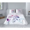 Pierre Cardin Nordisk 2p Kobe-spil 240x220 Cm