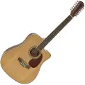 Gear4Music Dreadnought 12 String Acoustic Guitar by - Nearly New