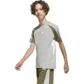 Adidas Seasonal Essentials Colorblock T-shirt Med Korte ærmer