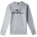 O'Neill N4750003 N4750003 Sweatshirt