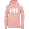 Helly Hansen Logo Hættetrøje