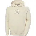 Helly Hansen Core Graphic Hættetrøje