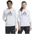 Adidas Real Madrid Hættetrøje