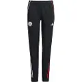 Adidas Ajax Amsterdam Tiro 25/26 Competition Præsentation Junior Træningsbukser