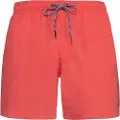 Protest Davey Badeshorts