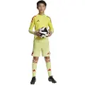 Adidas Tiro 25 Pro Målmand Shorts