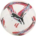 Puma Orbita Laliga 1 Fifa Quality Pro Wp Fodbold