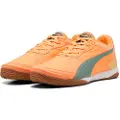 Puma Pressing Iv Indendørs Fodboldsko