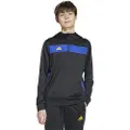 Adidas Tiro 25 Essentials Hættetrøje