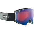 Julbo Sharp Polariserede Skibriller