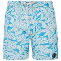 Protest Colney Badeshorts