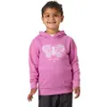 Helly Hansen Graphic K Sweatshirt Med Lynlås