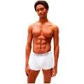 Tommy Hilfiger Um0um03520 Boxers 3 Enheder