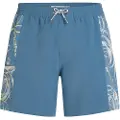 O'Neill O´riginals Side Panel 16´´ Badeshorts