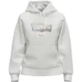 Levi's Graphic Standard Hættetrøje