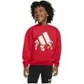 Adidas X Disney Mickey Mouse Sweatshirt