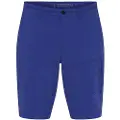 Sea Ranch Gilmore Shorts
