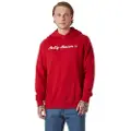 Helly Hansen Core Graphic Hættetrøje