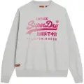 Superdry Tonal Vl Loose Sweatshirt