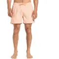 Quiksilver Everyday Beach Volley 15´´ Badeshorts