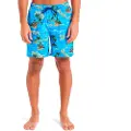 Quiksilver Everyday Straight Volley 17 Badeshorts