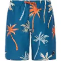 Protest Brandon Badeshorts
