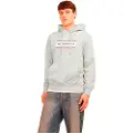 Jack & Jones Frederiksberg Box Hættetrøje