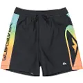 Quiksilver Everyday Holmes Volley14 Badeshorts