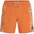 O'Neill O´riginals Side Panel 16´´ Badeshorts