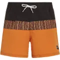 O'Neill Cali Block 15´´ Badeshorts