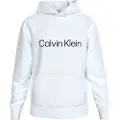 Calvin Klein Lv14ld231g Sweatshirt