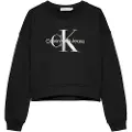 Calvin Klein Glitter Monologo Hættetrøje