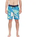 Volcom Geo Stoney 19´´ Badeshorts