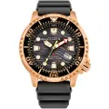 Citizen Bn0163-00h Ur