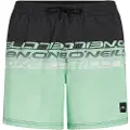 O'Neill Cali Stripe 16´´ Badeshorts