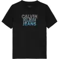 Calvin Klein Gradient Flock Logo T-shirt Med Korte ærmer