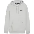 Puma Ess+ 2 Col Small Logo Hættetrøje