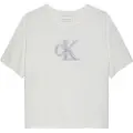 Calvin Klein Jeans Metallic T-shirt Med Korte ærmer